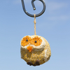 bird seed - woodland friends by mr. bird