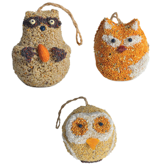 bird seed - woodland friends by mr. bird
