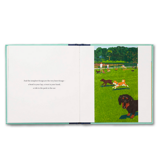 book - when you love a dog by compendium