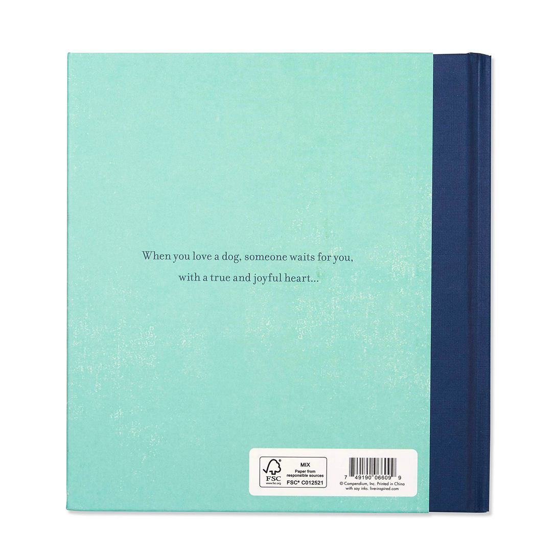 book - when you love a dog by compendium