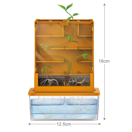 kit - grow-a-maze by toysmith group