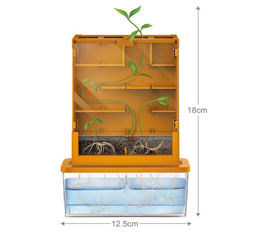 kit - grow-a-maze by toysmith group