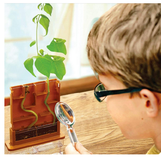 kit - grow-a-maze by toysmith group