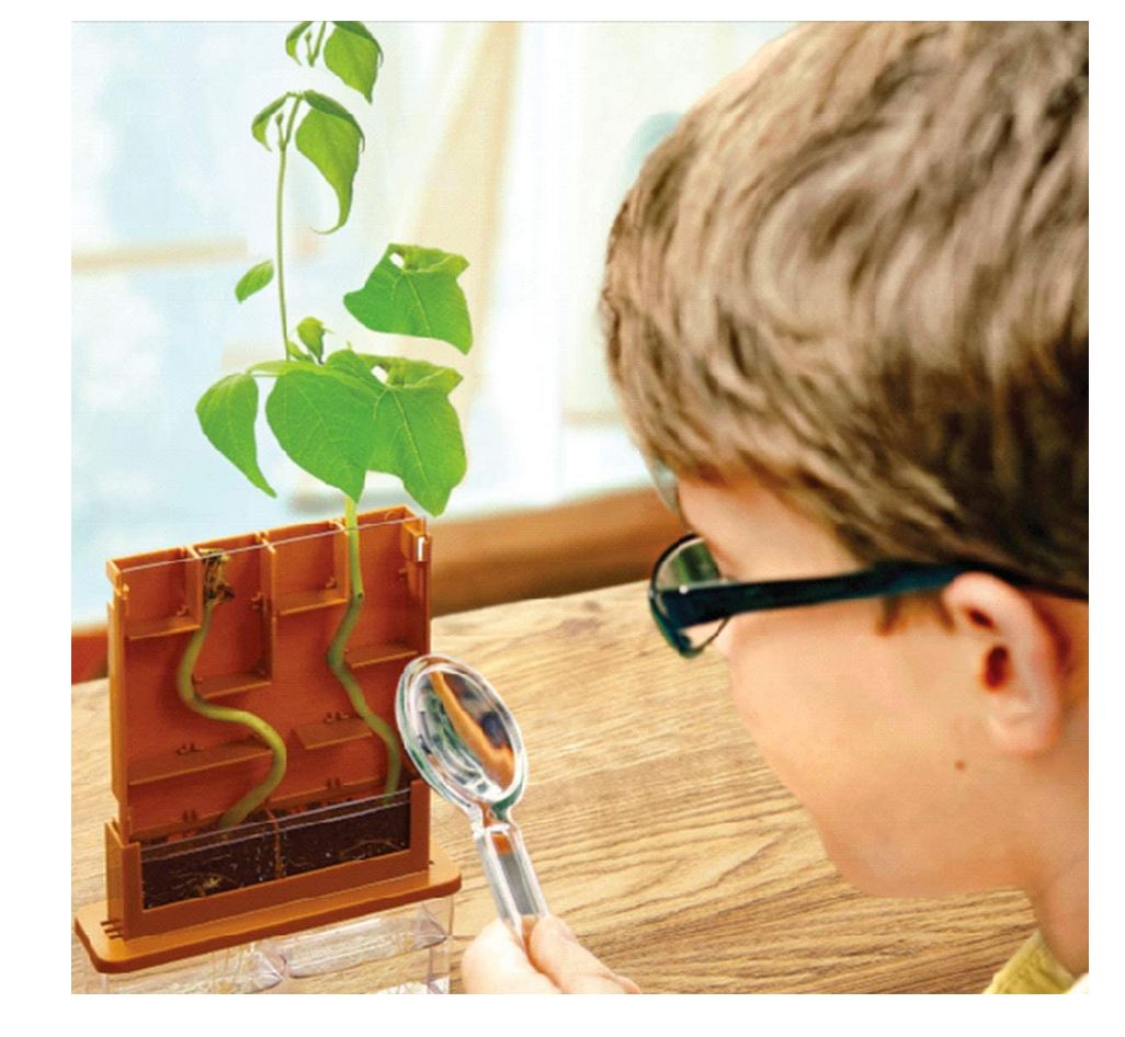 kit - grow-a-maze by toysmith group