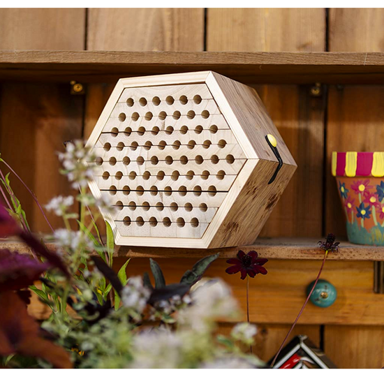habitat kit - solitary bee by toysmith group