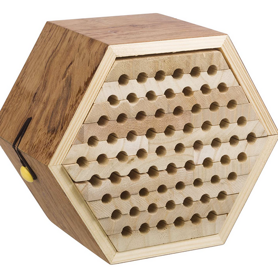 habitat kit - solitary bee by toysmith group