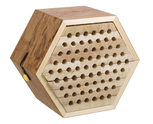 habitat kit - solitary bee by toysmith group