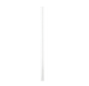 glass straw - reusable by plenty