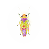 Brooch Pin | Sharpshooter Beetle