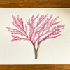 Art Print|8x10|Oklahoma Redbud Tree (Watercolor)