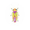 brooch pin - sharpshooter beetle by trovelore