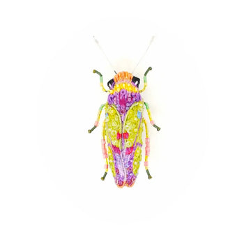 brooch pin - sharpshooter beetle by trovelore
