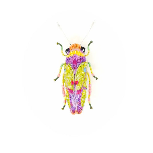 brooch pin - sharpshooter beetle by trovelore