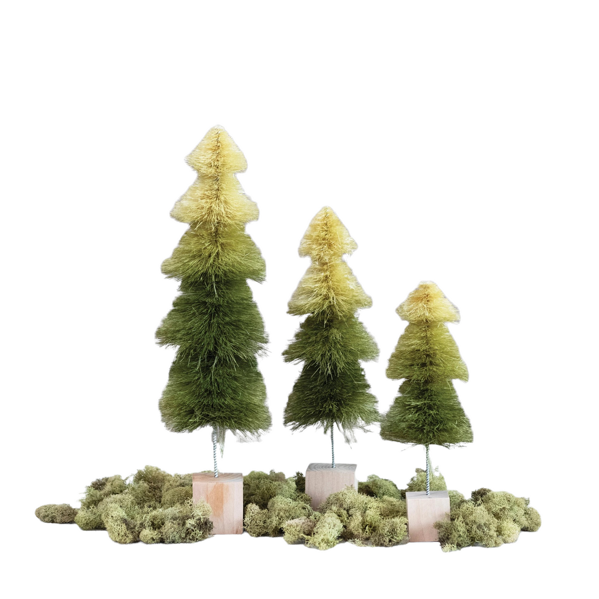 sisal botttle brush tree - green ombre by creative co-op