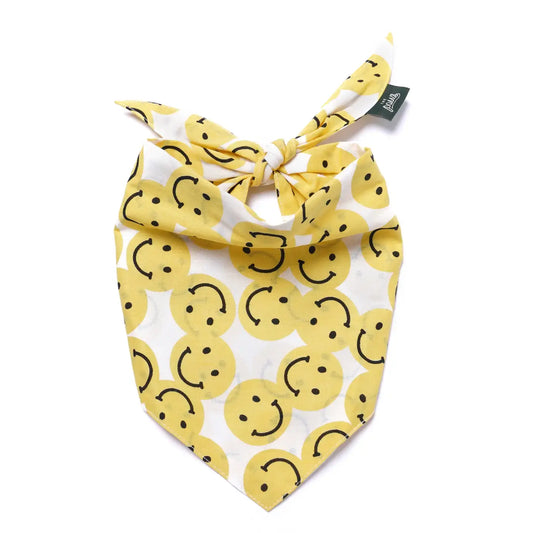 pet bandana - large - smile by the paws