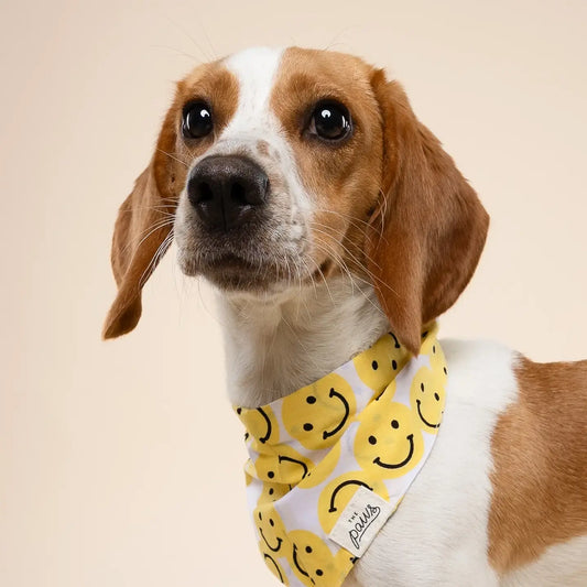pet bandana - large - smile by the paws