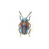 brooch pin - snowdon beetle by trovelore