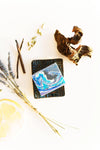 soap bar - transcend by soap so co.