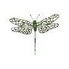 brooch pin - southern hawker dragonfly by trovelore