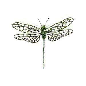 brooch pin - southern hawker dragonfly by trovelore
