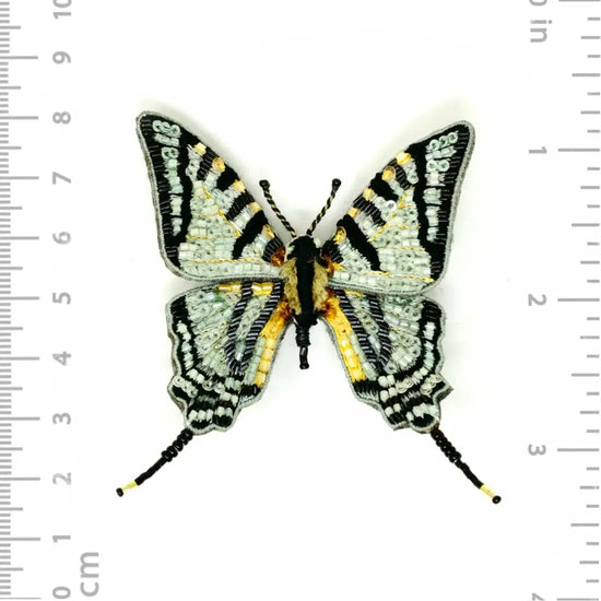 brooch pin - scarce swallowtail by trovelore
