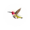 brooch pin - sparkling hummingbird by trovelore