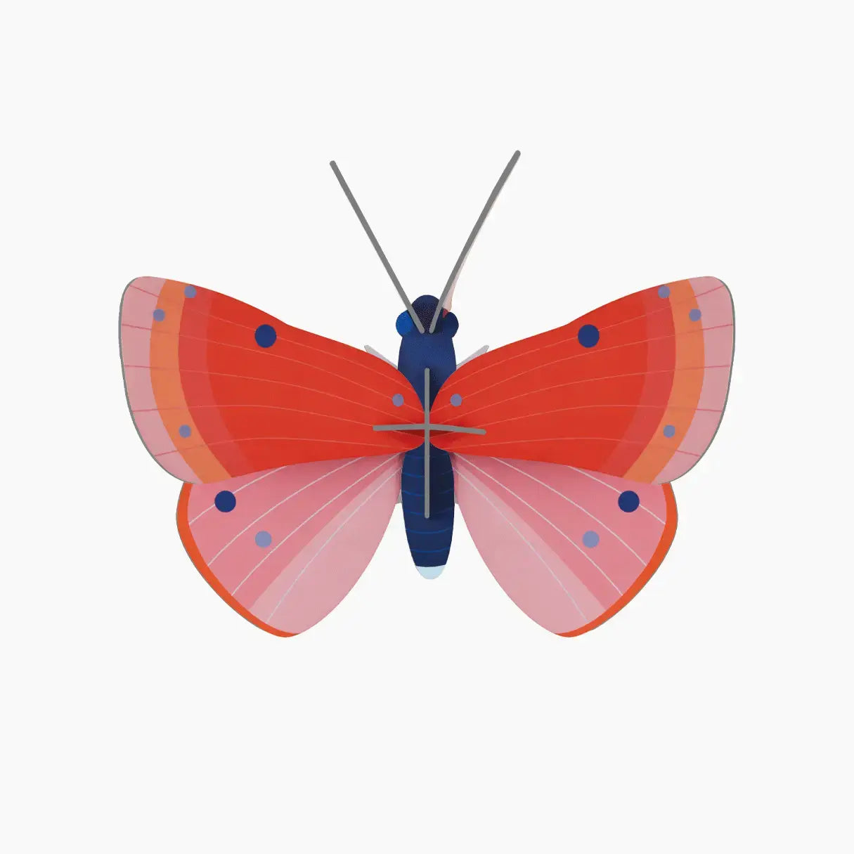 3d insect puzzle - small butterfly by studio roof