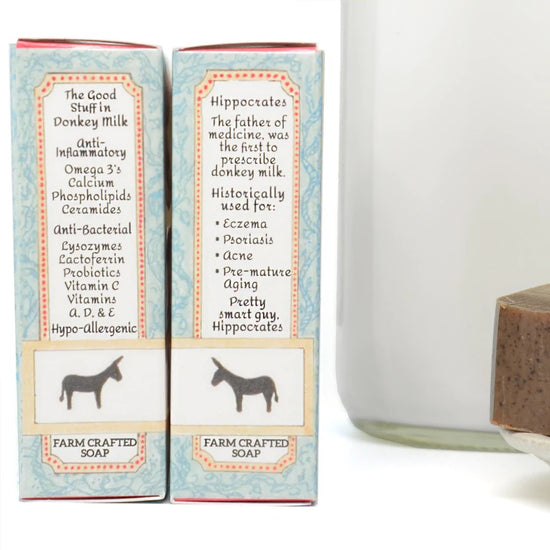soap - donkey milk - cinnamon spice coffee by dulce de donke