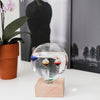 galileo thermometer - glass globe by kikkerland