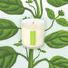 Candle | Fresh Picked Basil | 9oz
