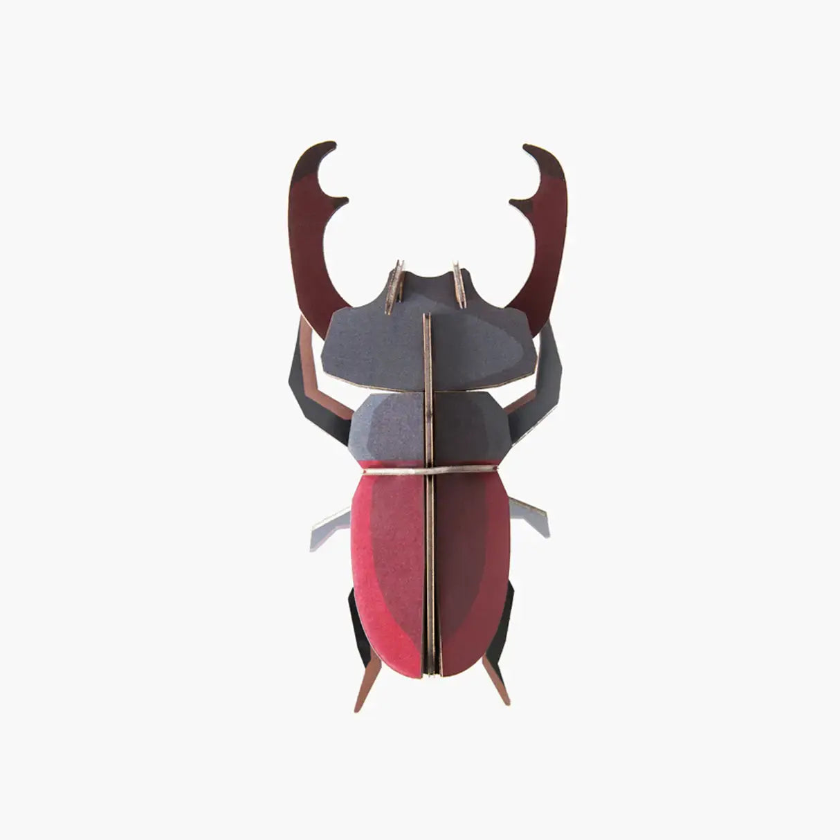 3d insect puzzle - small beetle by studio roof
