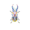 brooch pin - beetle - stag pincer by trovelore