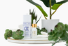 Recharge Oil | Essential | Blu Agave