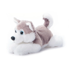 Toy | Animal Plush | Scoopz | Siberian Husky Small 8"