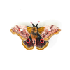 Brooch Pin | Emperor Mopane Moth