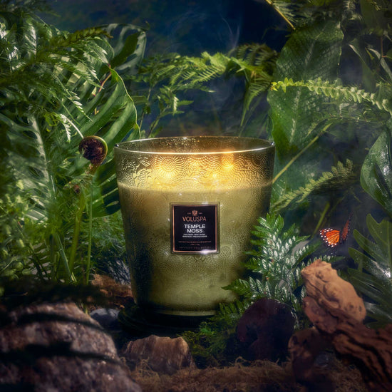 candle - japonica - temple moss by voluspa