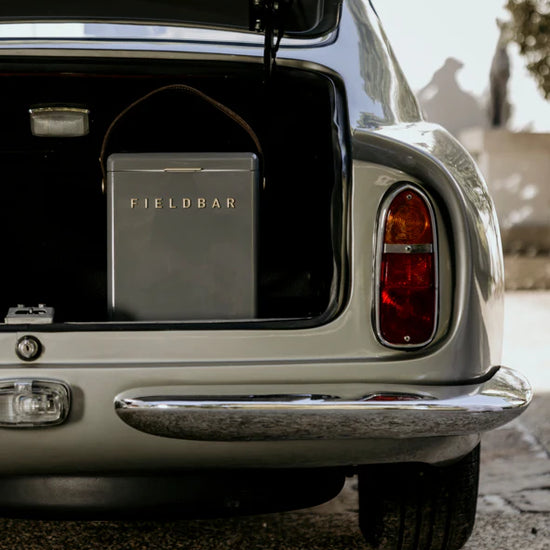 cooler box - hardcase - 10l by fieldbar american inc.