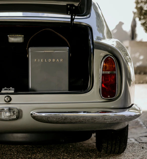 cooler box - hardcase - 10l by fieldbar american inc.