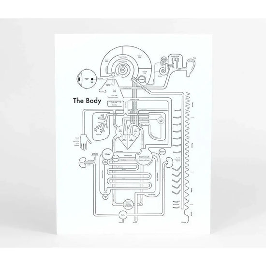 art print - letterpress - 8.5" x 11" - body by archie's press