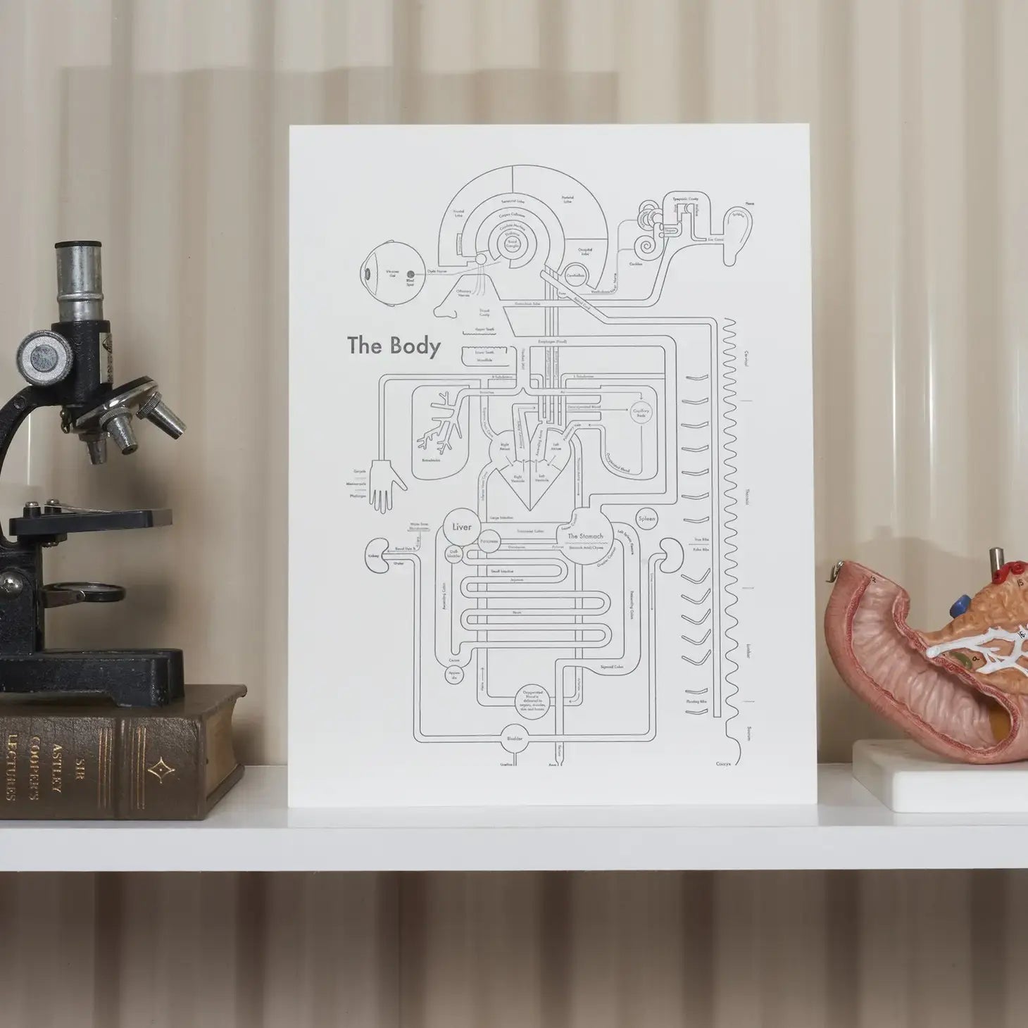 art print - letterpress - 8.5" x 11" - body by archie's press