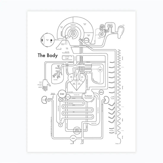 art print - letterpress - 8.5" x 11" - body by archie's press