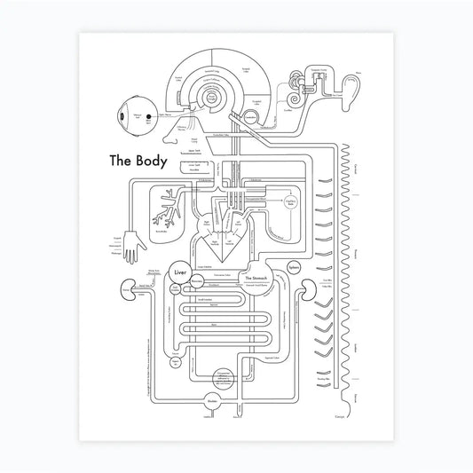 art print - letterpress - 8.5" x 11" - body by archie's press