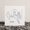 art print - letterpress - 8" x 8" - ear by archie's press