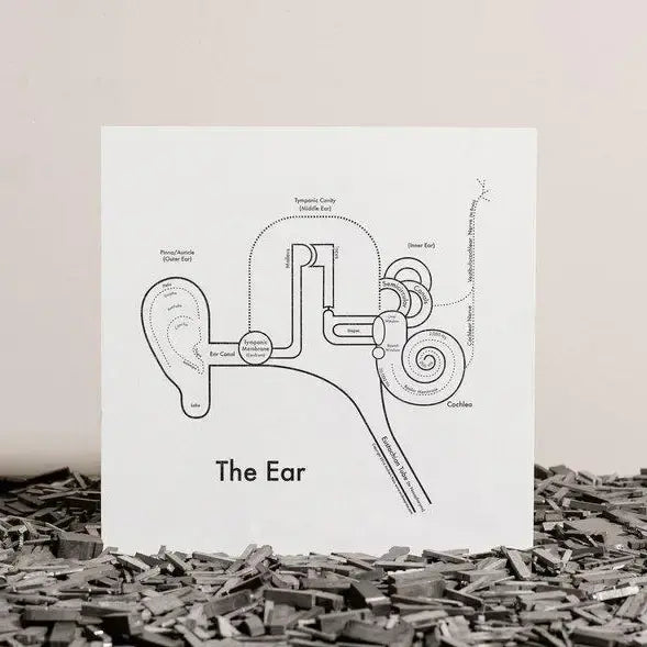 art print - letterpress - 8" x 8" - ear by archie's press