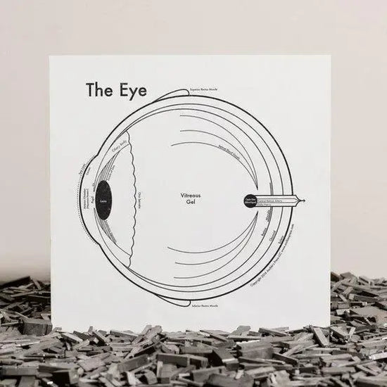 art print - letterpress - 8" x 8" - eye by archie's press