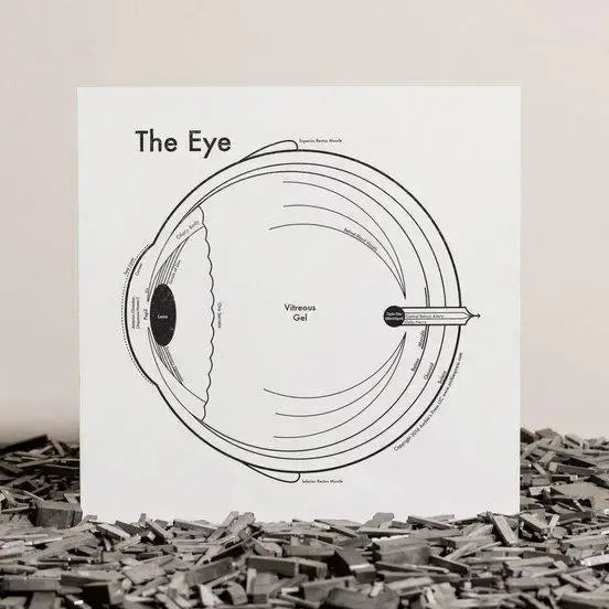 art print - letterpress - 8" x 8" - eye by archie's press