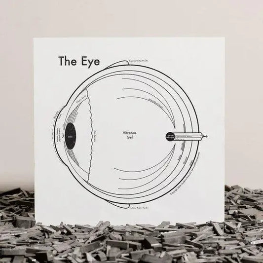 art print - letterpress - 8" x 8" - eye by archie's press