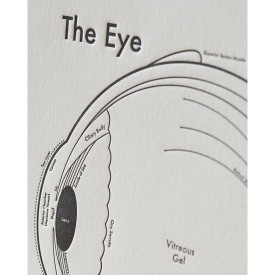 art print - letterpress - 8" x 8" - eye by archie's press