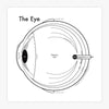 art print - letterpress - 8" x 8" - eye by archie's press