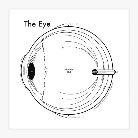 art print - letterpress - 8" x 8" - eye by archie's press